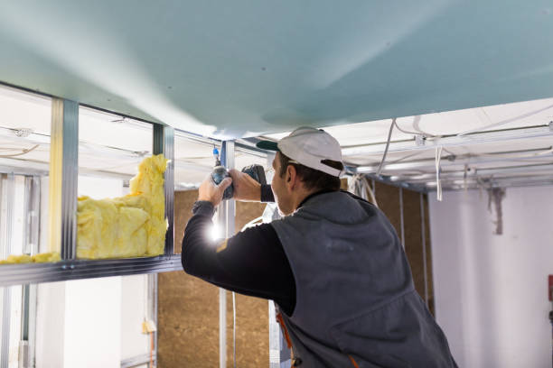 Best Residential Insulation in Lake In The Hls, IL