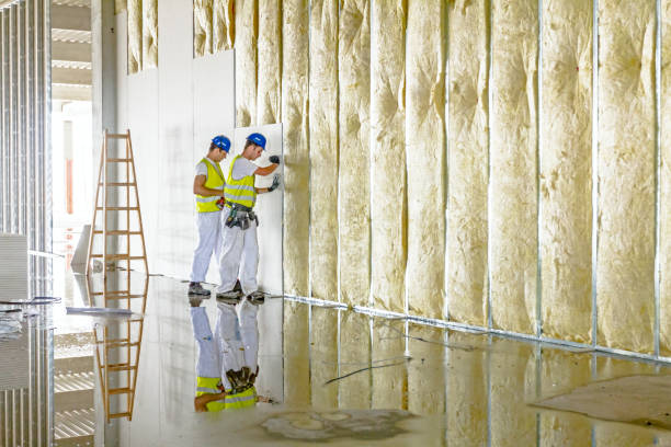 Best Insulation Maintenance and Repair in Lake In The Hls, IL